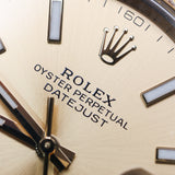 2025 Rolex Datejust 41 Champagne Index Dial  Ref. 126333 A001065