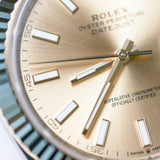 2025 Rolex Datejust 41mm 2T Champagne Index Ref. 126333 B00324