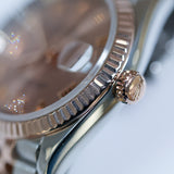 Rolex Datejust 36 Sundust Roman Dial Two Tone Ref. 126231 A001791