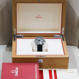 2024 Omega Seamaster
Aqua Terra 150M Ref. 220.13 41.21 06.001
