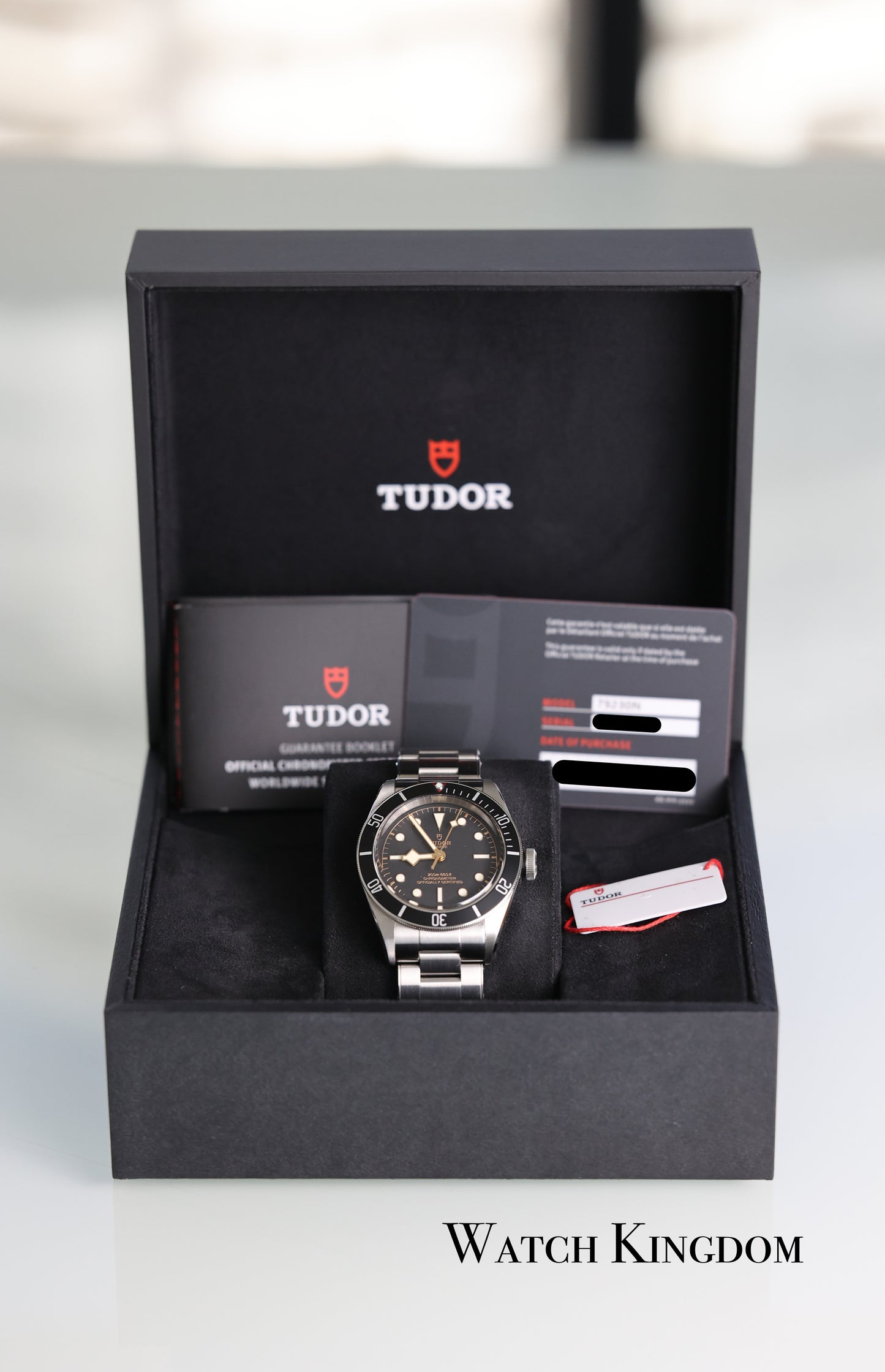 2023 Tudor Black Bay
