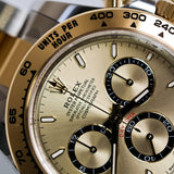 2026 Rolex Daytona Champagne 2T Ref.126503 B00133