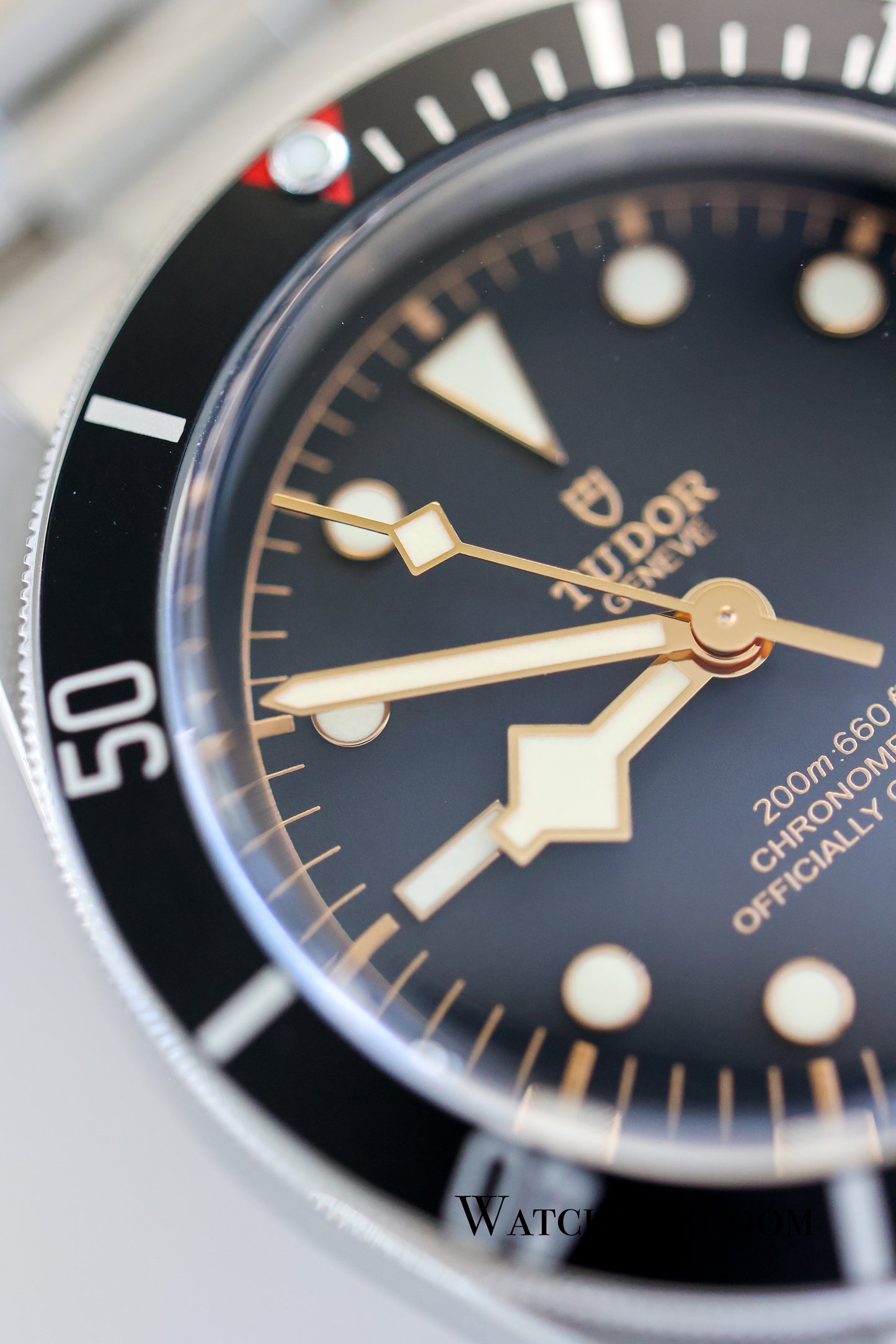 2023 Tudor Black Bay