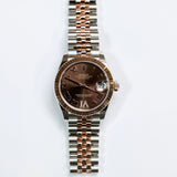 2025 Rolex Datejust 31 Chocolate Roman Dial Ref. 278271