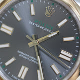 2026 Rolex Oyster Perpetual 41 Slate Dial 100 Years Anniversary Ref. 134303 A001862