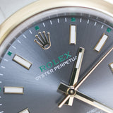 2026 Rolex Oyster Perpetual 41 Slate Dial 100 Years Anniversary Ref. 134303 A001862