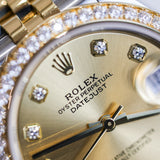 2024 Rolex Datejust 31 Champagne Dial 278383RBR