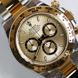 2026 Rolex Daytona Champagne 2T Ref.126503 B00133