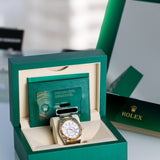 2023 Rolex Sky Dweller White Dial Fluted Two Tone YG