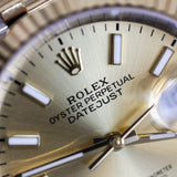 2024 Rolex Datejust 36 Champagne Dial 126233