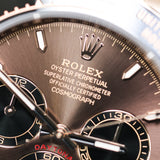 2025 Rolex Daytona Chocolate Dial Oysterflex Ref. 126515LN