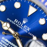 2026 Rolex Submariner Date ‘Bluesy’ 2T YG Ref. 126613LB A001545