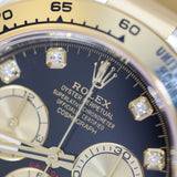 2025 Rolex Daytona 2T Black Diamonds Dial Ref. 126503 B00080