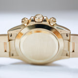 2022 Rolex Daytona "Meteorite" Ref. 116508 A001058