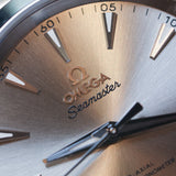 2025 Omega Seamaster Aqua Terra Sandstone Dial Ref. 22010382009001 B00291