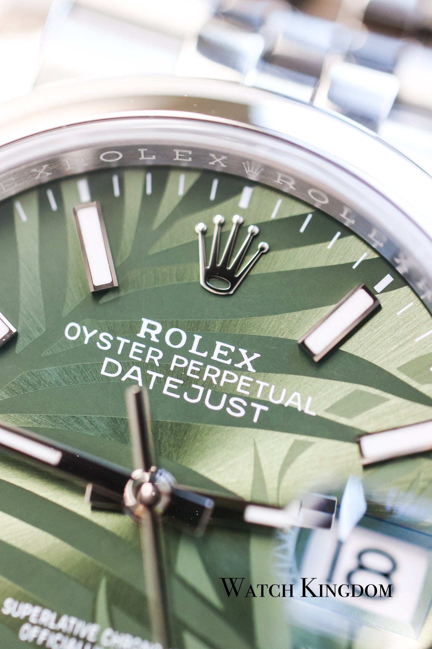2023 Rolex Datejust 36 Green Palm Motif Dial Jubilee