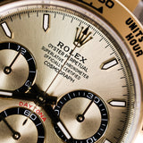 2026 Rolex Daytona Champagne 2T Ref.126503 B00133