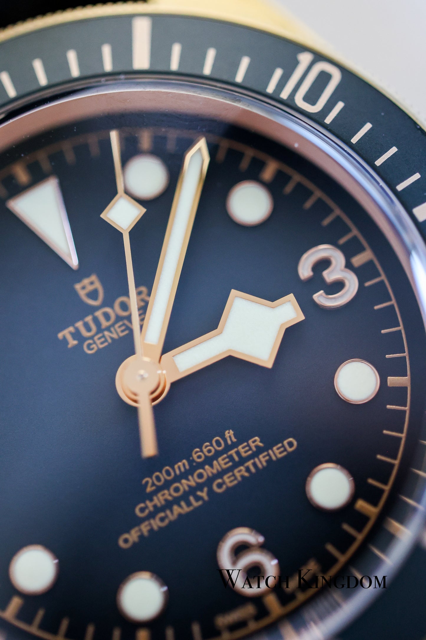 2023 Tudor Black Bay Bronze