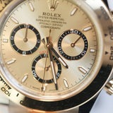 2026 Rolex Daytona 2T Champagne Dial Ref. 126503 B00178