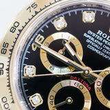 2022 Rolex Daytona Black Diamonds 116503