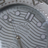 2024 Omega Seamaster 300 Black Ceramic Ref. 21092442001003 A001754