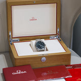 2023 Omega Seamaster Aqua Terra Green Dial 22010412110001