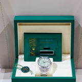 2025 Rolex Oyster Perpetual 41 Pistachio Dial Ref. 134300  A001594