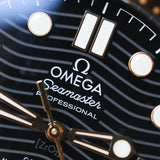 2019 Omega Seamaster Diver 300M Black Dial Two Tone Ref. 210.22.42.20.01.001 B00316