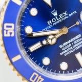 2026 Rolex Submariner "Bluesy" Ref. 126613LB B00245
