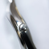 2025 Rolex Oyster Perpetual 36 Pistachio Dial Ref. 126000 A001072