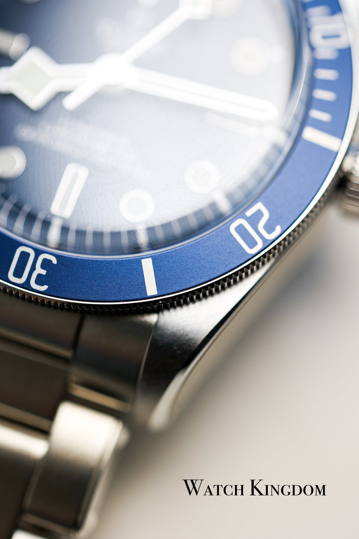 2023 Tudor Black Bay Blue Dial 39mm
