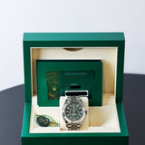 2025 Rolex Sky- Dweller Mint Green Dial Fluted Jubilee Ref. 336934 A1001064