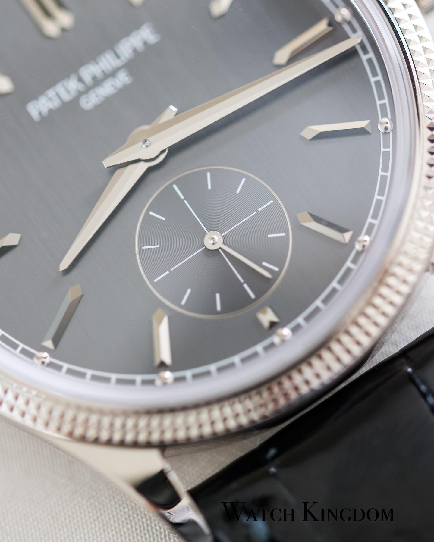 2023 Patek Phillipe Calatrava Grey Dial WG 39mm