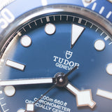 2023 Tudor Black Bay Blue Dial Ref. 79030B B00315