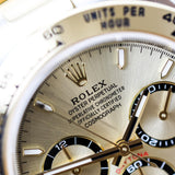 2025 Rolex Daytona Champagne Dial Ref. 126503