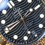 2019 Omega Seamaster Diver 300M Black Dial Two Tone Ref. 210.22.42.20.01.001 B00316