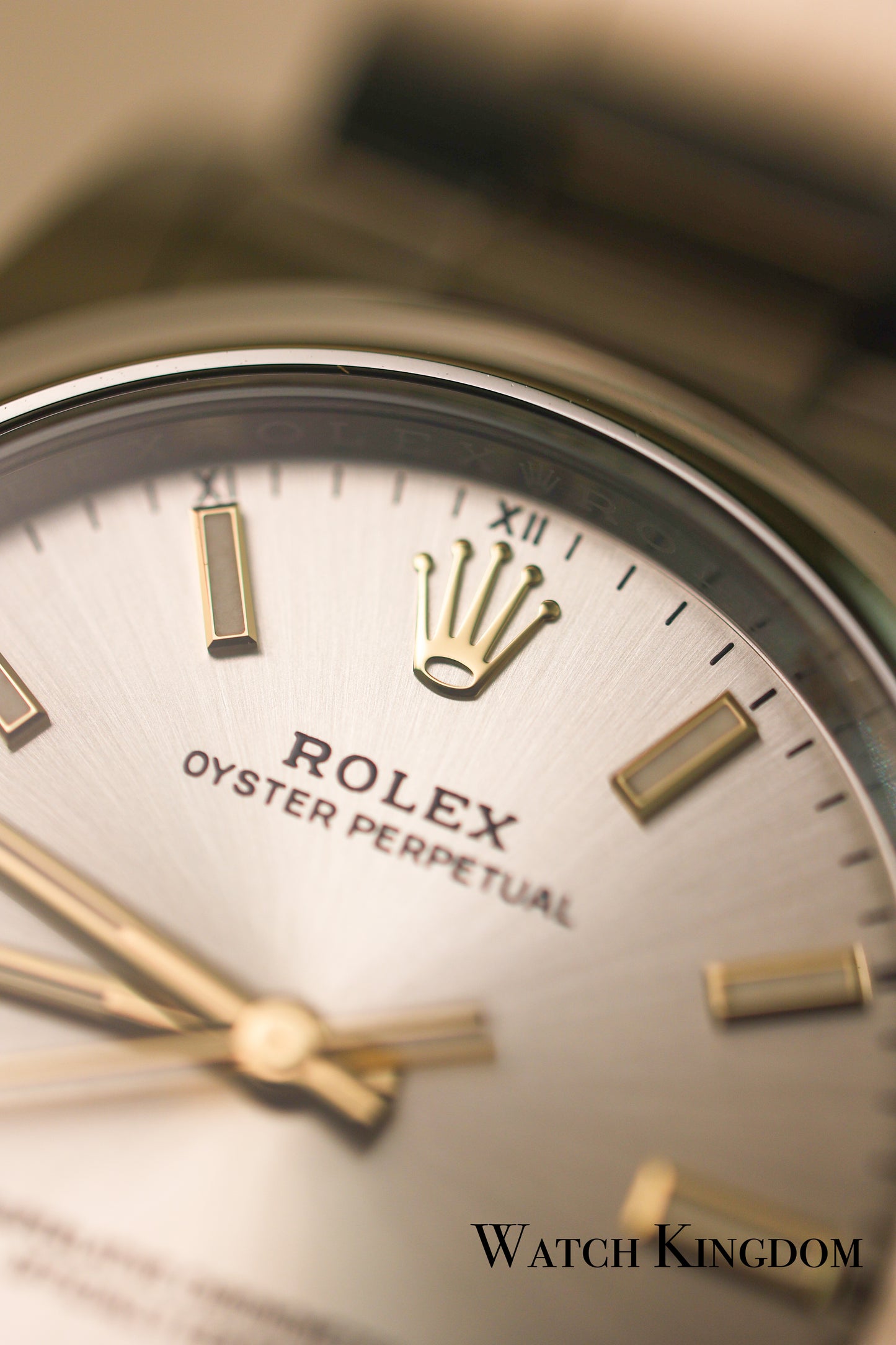 2023 Rolex Oyster Perpetual 34 Silver Dial