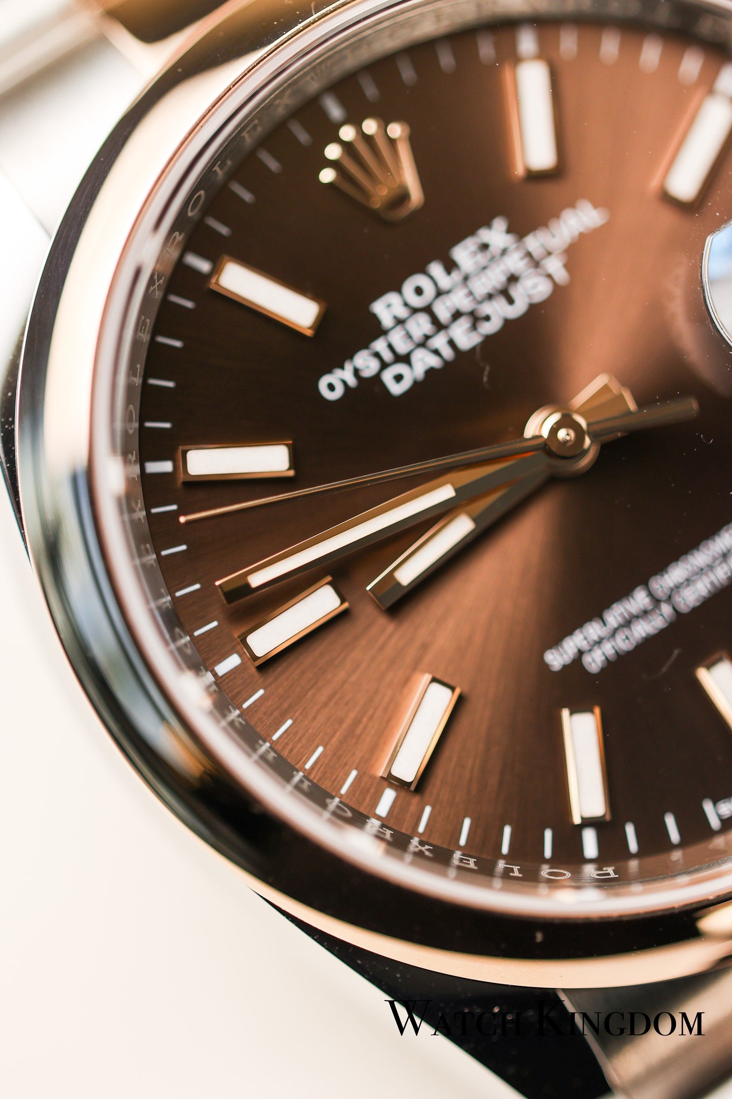 2023 Rolex Datejust 36 Chocolate Dial Oyster Bracelet Two Tone Rose Gold
