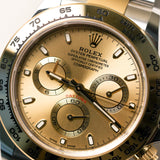 2023 Rolex Daytona Champagne Dial