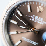 2024 Rolex Datejust 36 Chocolate Dial 126231