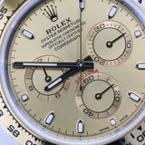 2023 Rolex Cosmograph Daytona Champagne Dial Two Tone YG