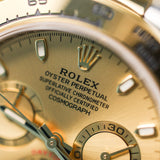 2023 Rolex Daytona Champagne Dial