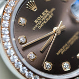 2024 Rolex Datejust 31 Chocolate Dial