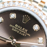 2024 Rolex Datejust 31 Chocolate Dial