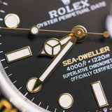 2022 Rolex Sea-Dweller 43 Two Tone Yellow Gold