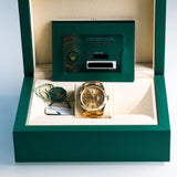 2023 Rolex Daydate 40 Champagne Roman Numerals Dial Yellow Gold